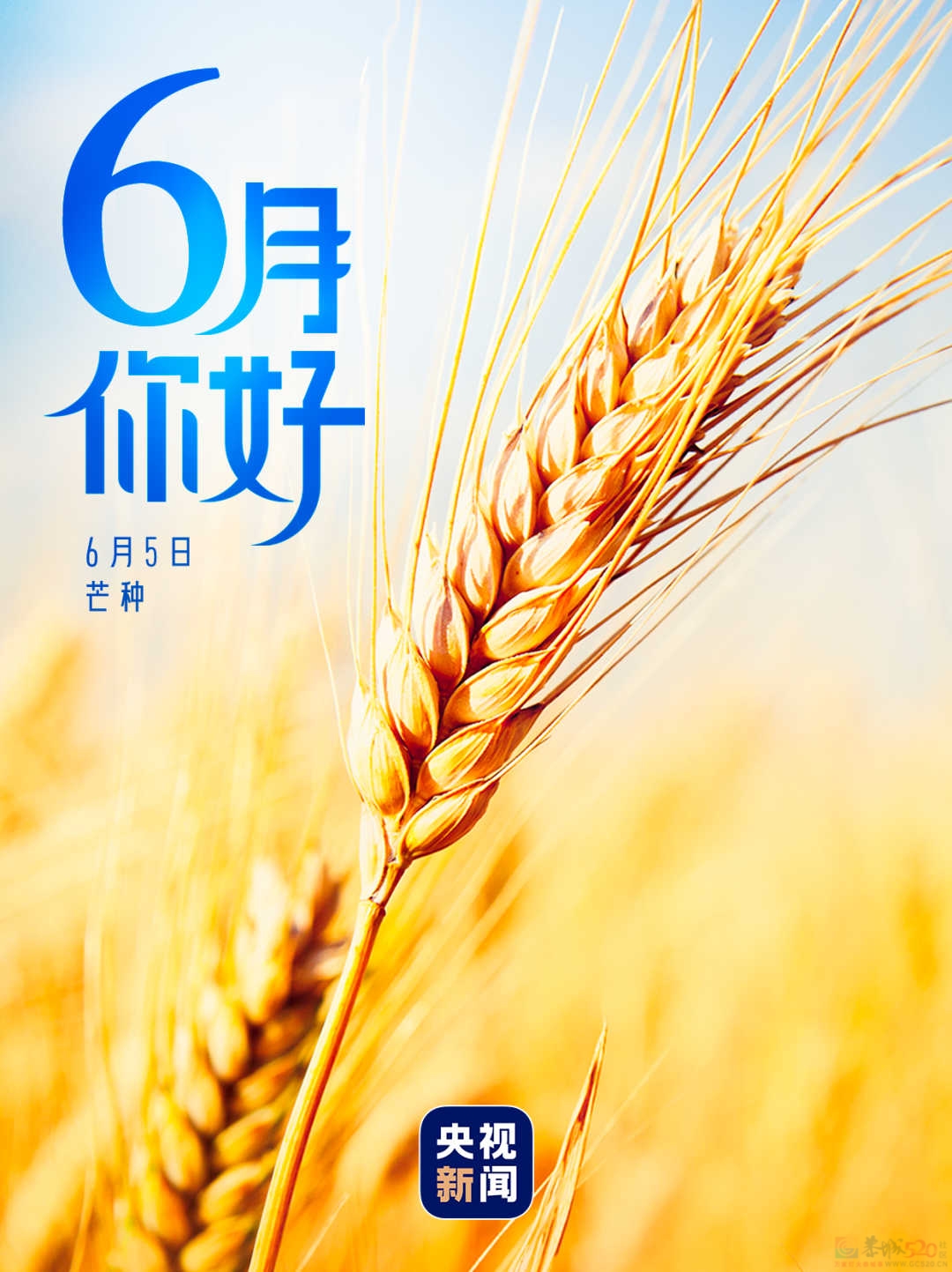 6月，你好！42 / 作者:登山涉水 / 帖子ID:315459