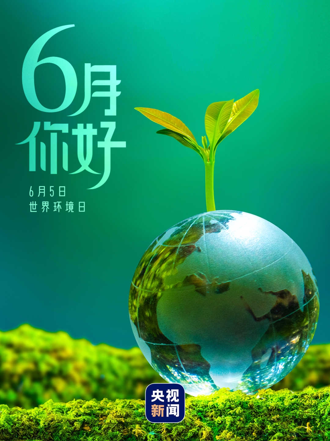 6月，你好！234 / 作者:登山涉水 / 帖子ID:315459
