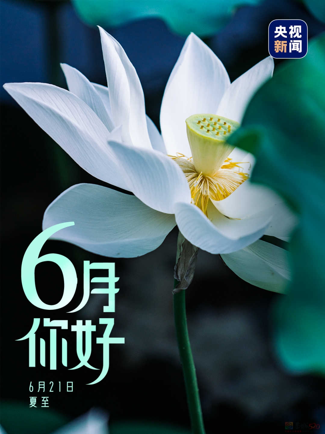 6月，你好！44 / 作者:登山涉水 / 帖子ID:315459