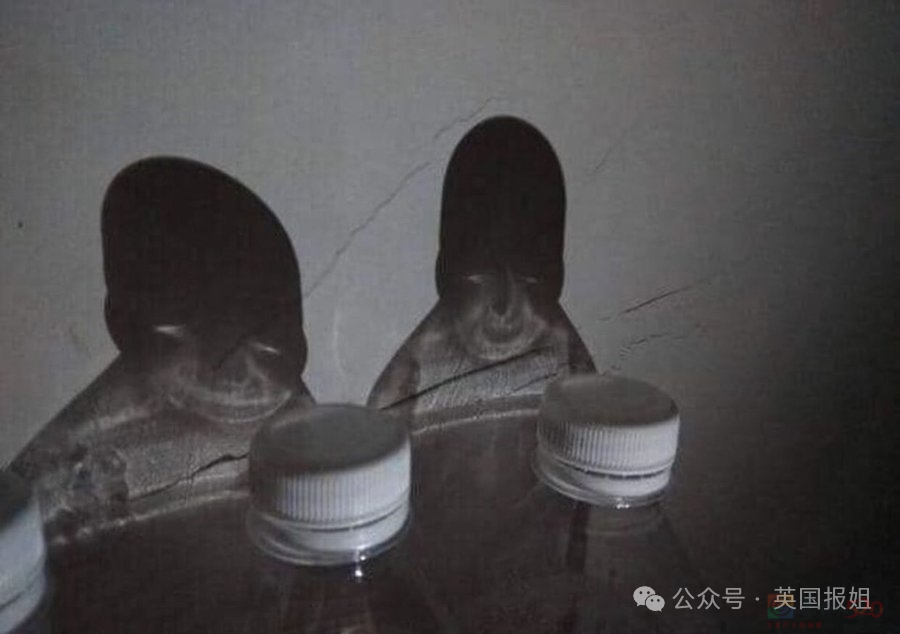 日本酒店无头男尸案惊天后续！29岁女子割下62岁床友头颅，带回家强迫父母一起敲骨剥皮？！728 / 作者:放眼看世界 / 帖子ID:315572