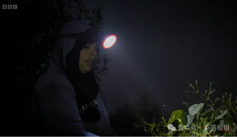 丧心病狂！外网最新纪录片曝大牌香水压榨埃及童工！5岁儿童彻夜采摘茉莉花，工资不到3分钱？780 / 作者:放眼看世界 / 帖子ID:315582