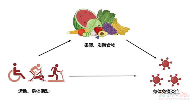 经常有炎症的人更易得癌！3个抗炎方法，很多人没做对！538 / 作者:健康小天使 / 帖子ID:315602