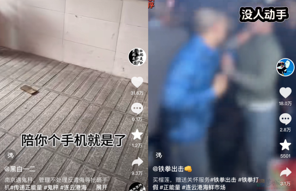 遍地都是打假博主，靠什么赚钱？137 / 作者:儿时的回忆 / 帖子ID:315682