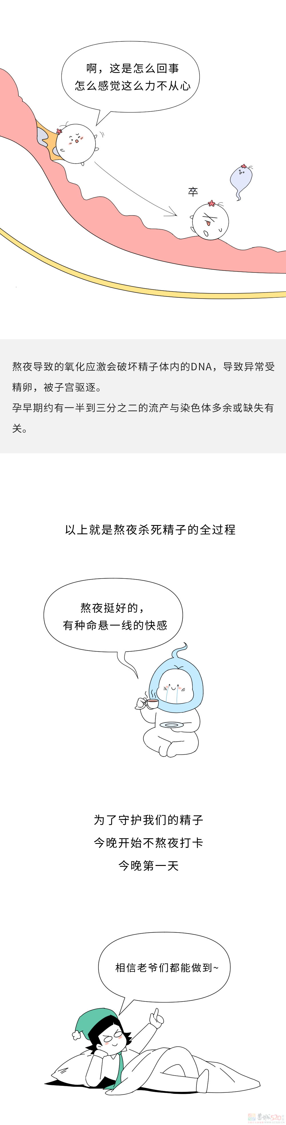 熬夜是怎么阻止一颗「小蝌蚪」长大成人的？！383 / 作者:儿时的回忆 / 帖子ID:315702