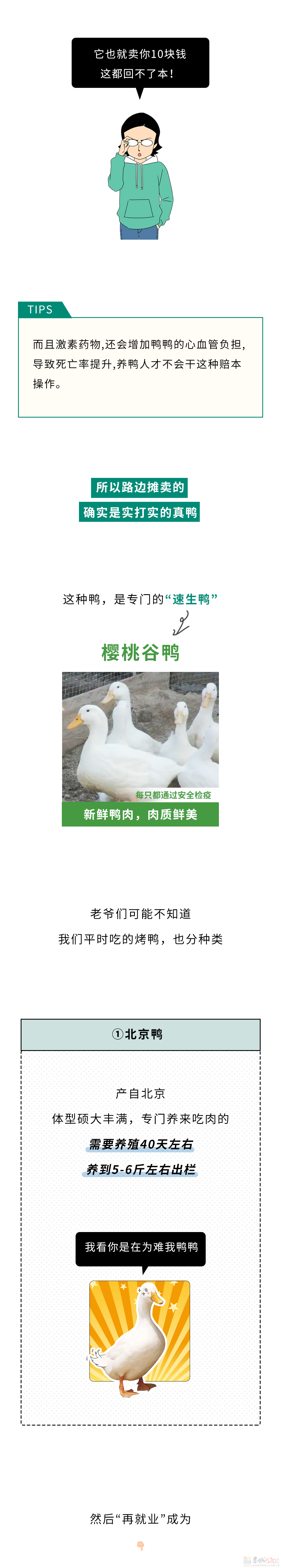 为什么一只活鸭上百元，一只烤鸭却只要19.8块？250 / 作者:儿时的回忆 / 帖子ID:315722