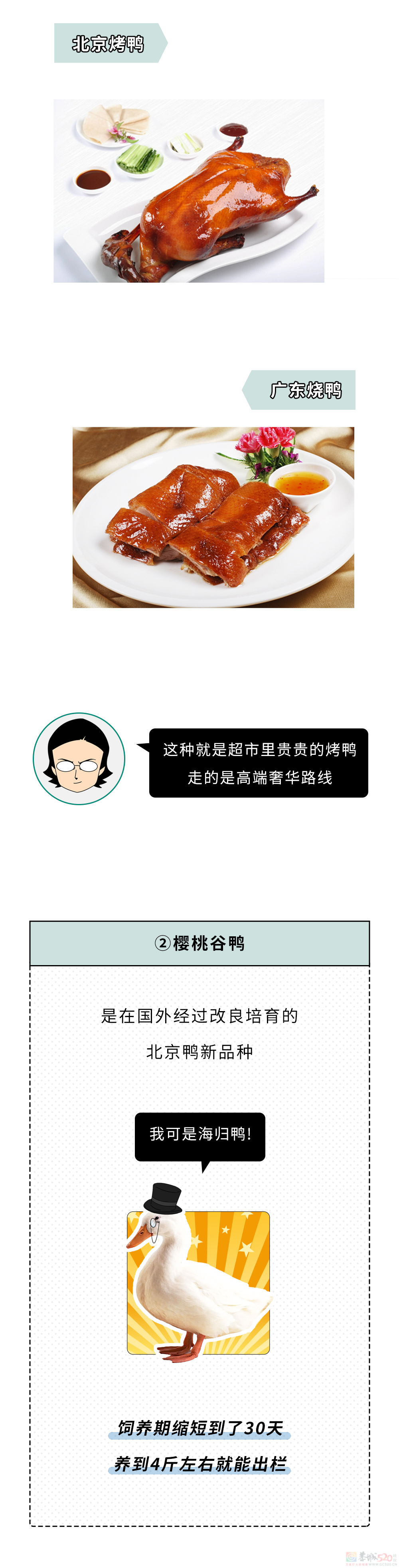 为什么一只活鸭上百元，一只烤鸭却只要19.8块？745 / 作者:儿时的回忆 / 帖子ID:315722