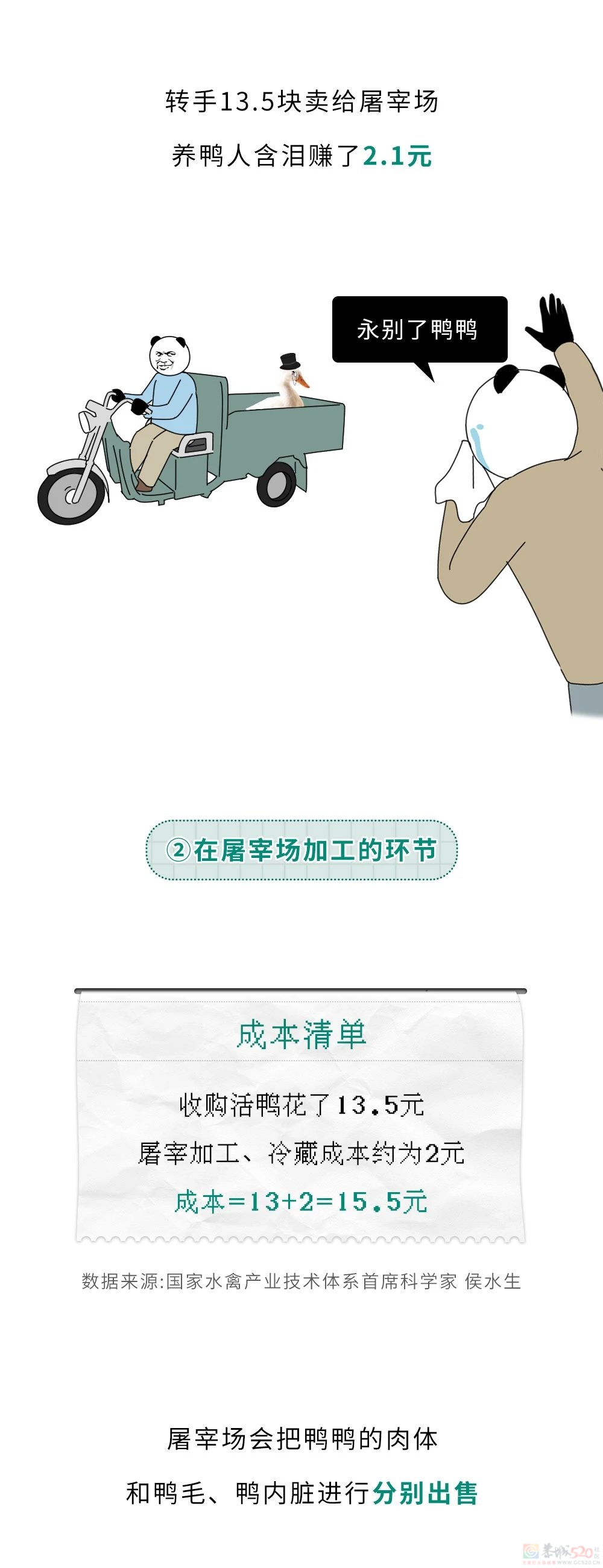 为什么一只活鸭上百元，一只烤鸭却只要19.8块？594 / 作者:儿时的回忆 / 帖子ID:315722