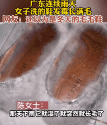 南方人最近从头到脚发霉，“总算明白发配岭南有多可怕了”853 / 作者:儿时的回忆 / 帖子ID:315784