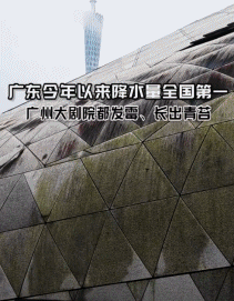 南方人最近从头到脚发霉，“总算明白发配岭南有多可怕了”634 / 作者:儿时的回忆 / 帖子ID:315784