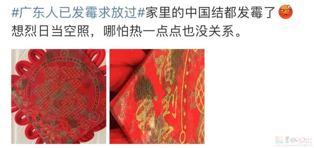南方人最近从头到脚发霉，“总算明白发配岭南有多可怕了”796 / 作者:儿时的回忆 / 帖子ID:315784