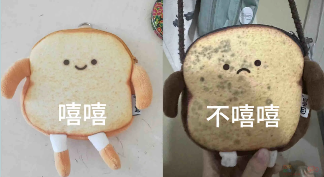 南方人最近从头到脚发霉，“总算明白发配岭南有多可怕了”76 / 作者:儿时的回忆 / 帖子ID:315784