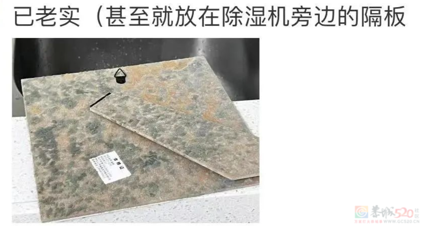 南方人最近从头到脚发霉，“总算明白发配岭南有多可怕了”913 / 作者:儿时的回忆 / 帖子ID:315784