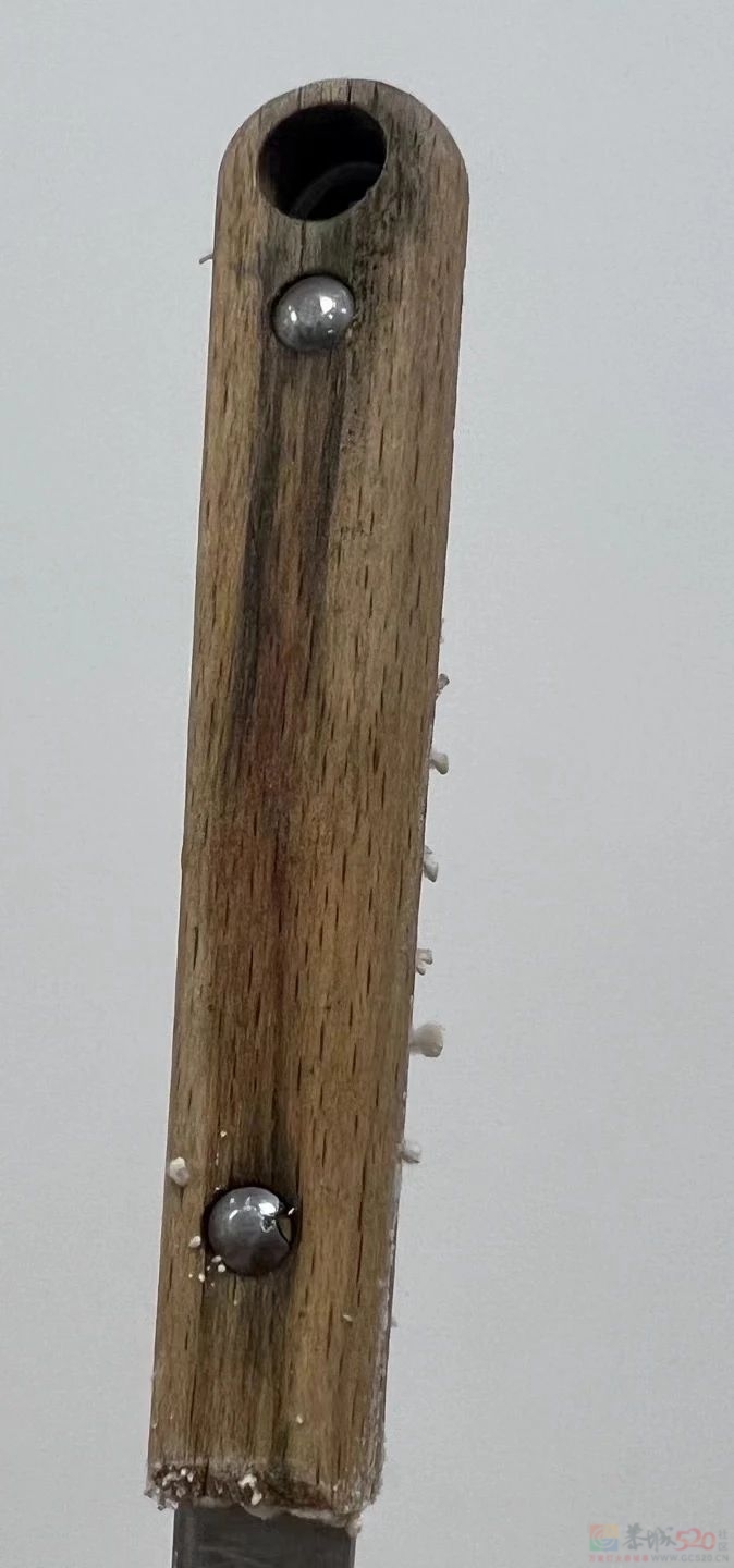 南方人最近从头到脚发霉，“总算明白发配岭南有多可怕了”721 / 作者:儿时的回忆 / 帖子ID:315784