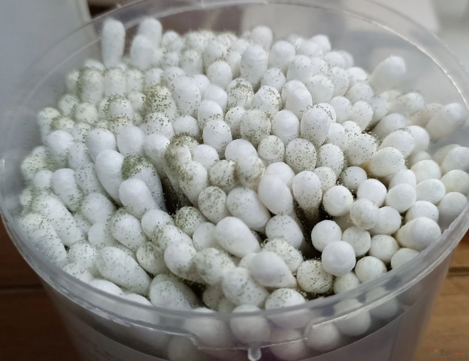 南方人最近从头到脚发霉，“总算明白发配岭南有多可怕了”947 / 作者:儿时的回忆 / 帖子ID:315784