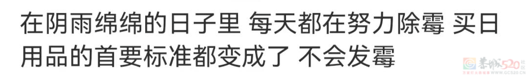 南方人最近从头到脚发霉，“总算明白发配岭南有多可怕了”708 / 作者:儿时的回忆 / 帖子ID:315784