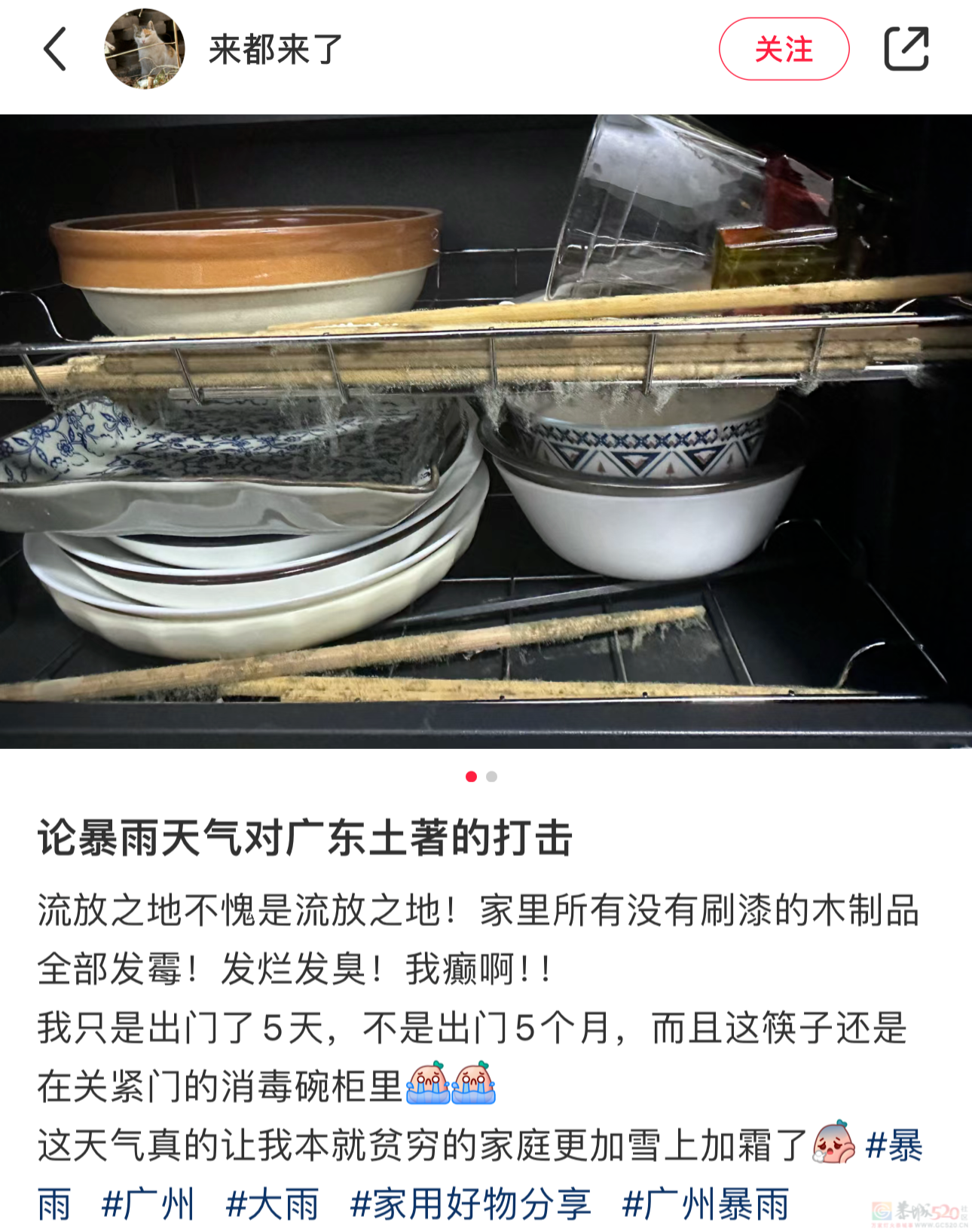 南方人最近从头到脚发霉，“总算明白发配岭南有多可怕了”902 / 作者:儿时的回忆 / 帖子ID:315784