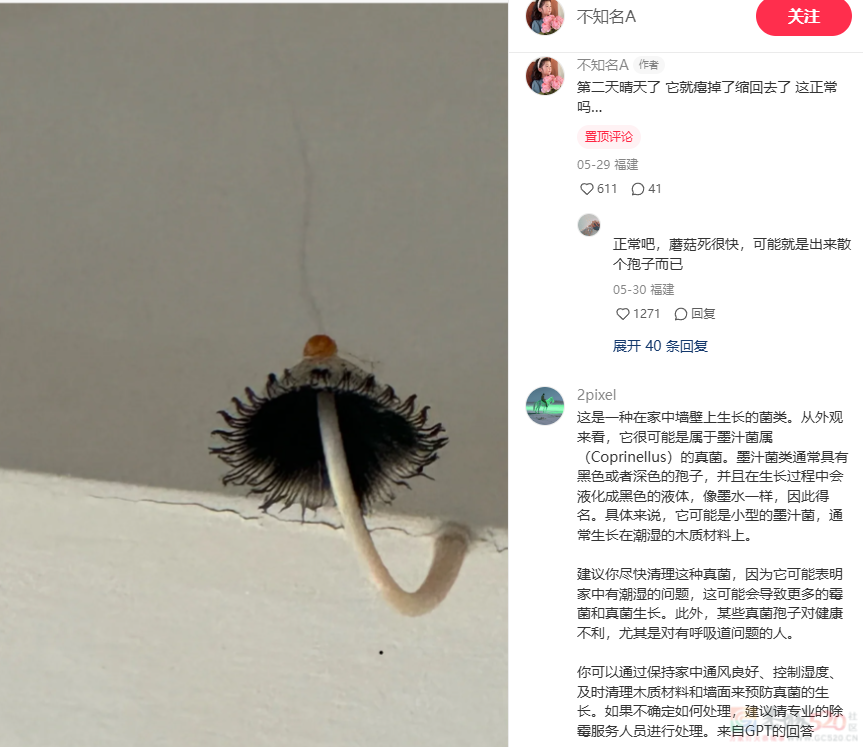 南方人最近从头到脚发霉，“总算明白发配岭南有多可怕了”307 / 作者:儿时的回忆 / 帖子ID:315784