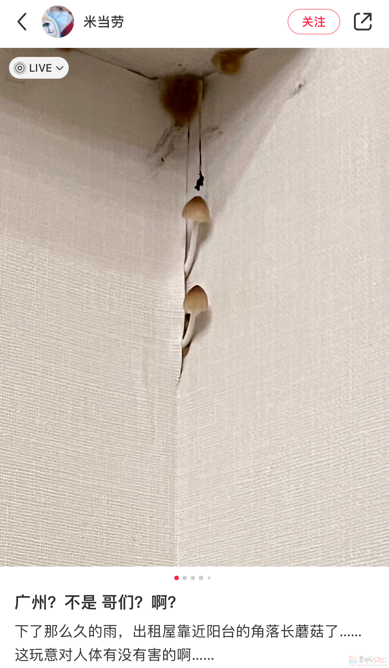 南方人最近从头到脚发霉，“总算明白发配岭南有多可怕了”142 / 作者:儿时的回忆 / 帖子ID:315784