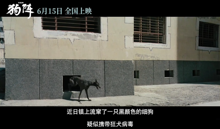 今年的「国产片之光」，还是扑惨了938 / 作者:该做的事情 / 帖子ID:315790