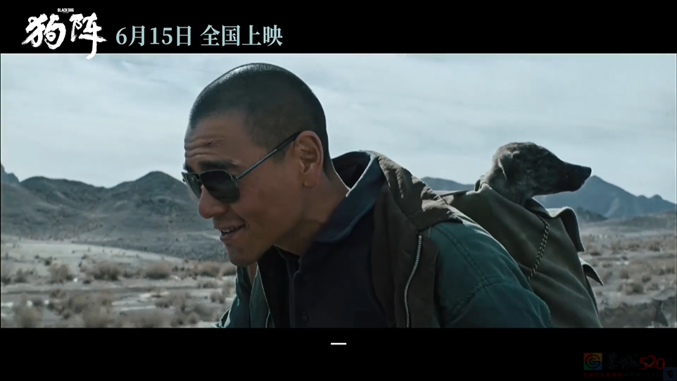 今年的「国产片之光」，还是扑惨了999 / 作者:该做的事情 / 帖子ID:315790