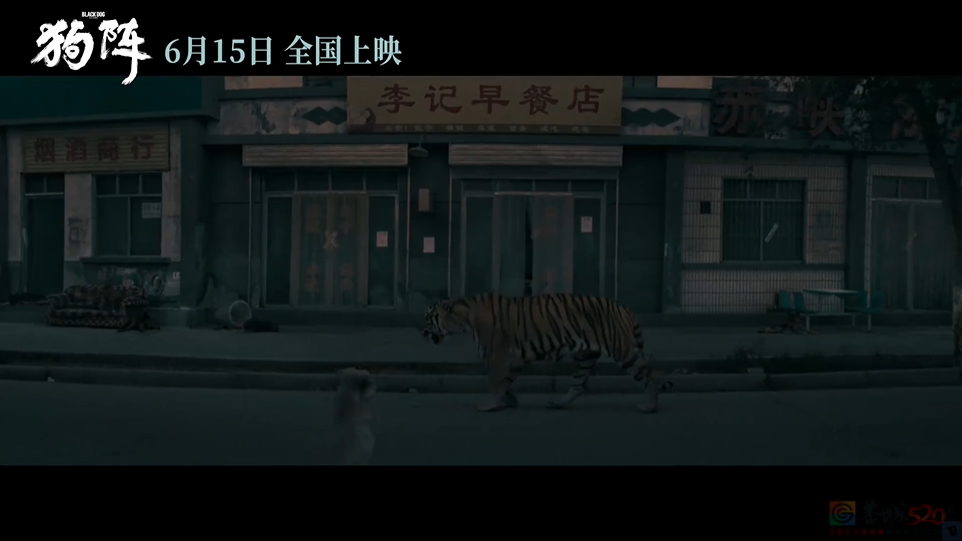 今年的「国产片之光」，还是扑惨了63 / 作者:该做的事情 / 帖子ID:315790