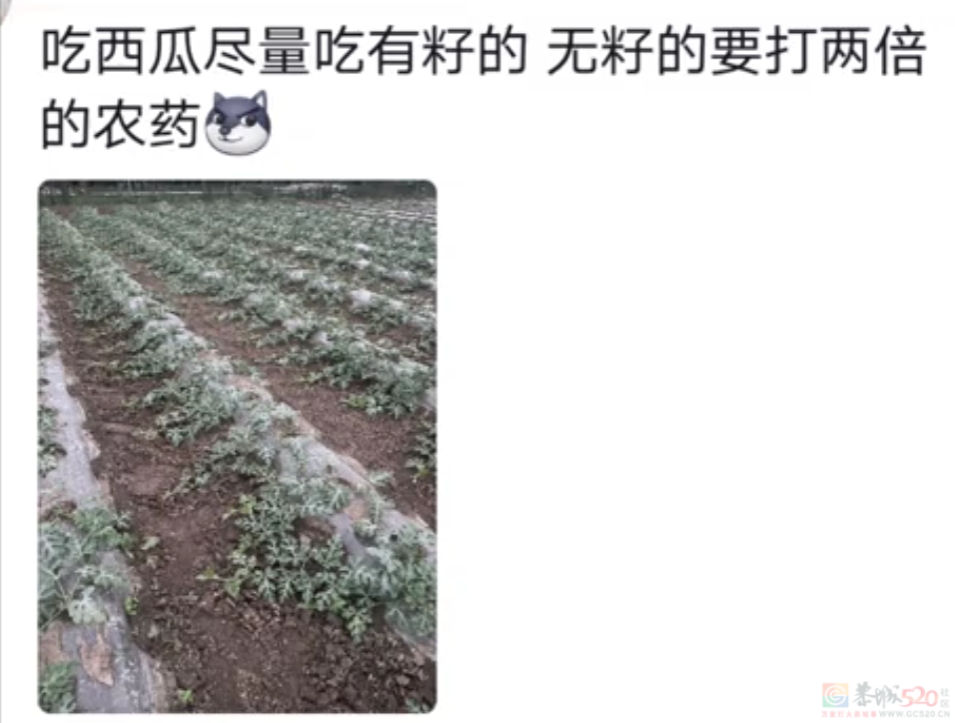 大学生打暑假工成“民间315”，疯狂爆料“网红店脏得没一个敢吃”450 / 作者:儿时的回忆 / 帖子ID:315891
