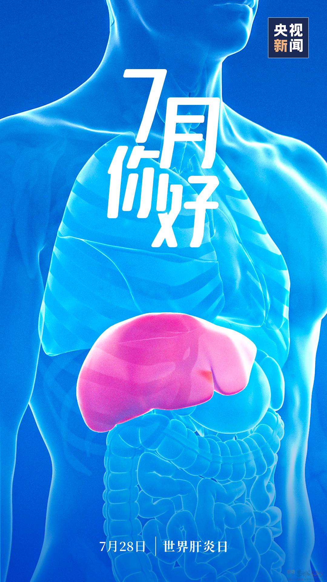 7月，你好！730 / 作者:登山涉水 / 帖子ID:315953