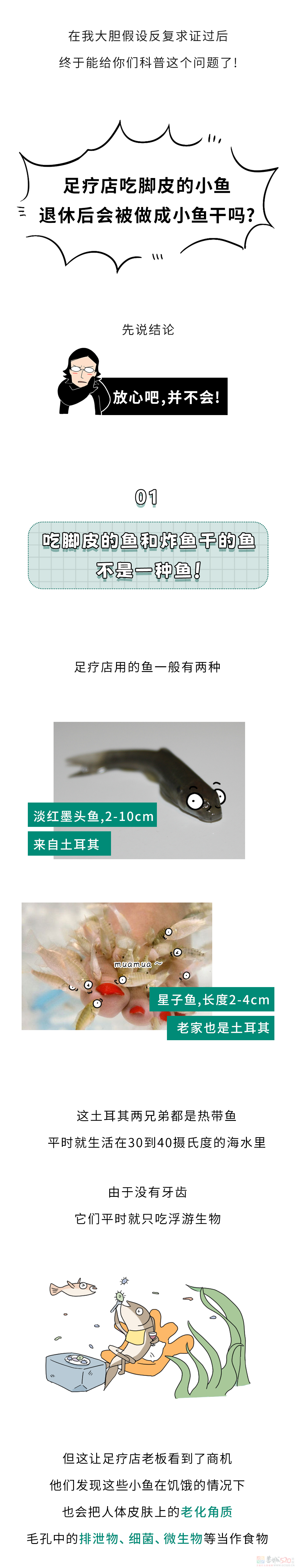 足疗店吃脚皮的小鱼，长大后都被送去了哪儿？815 / 作者:儿时的回忆 / 帖子ID:315969
