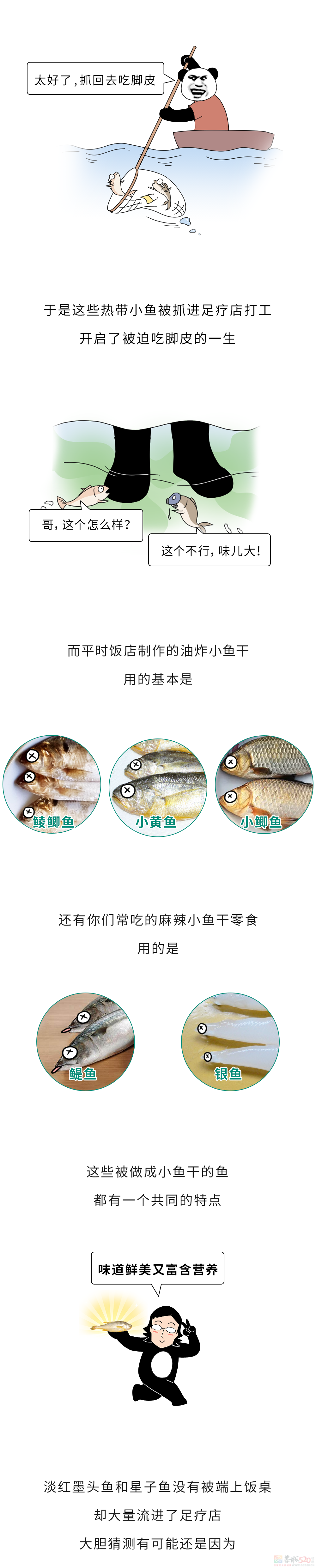 足疗店吃脚皮的小鱼，长大后都被送去了哪儿？100 / 作者:儿时的回忆 / 帖子ID:315969