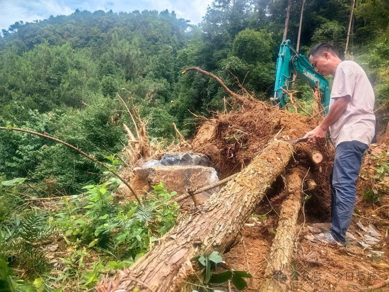 三江乡：清理道路塌方，保障道路畅通629 / 作者:论坛小编01 / 帖子ID:316008