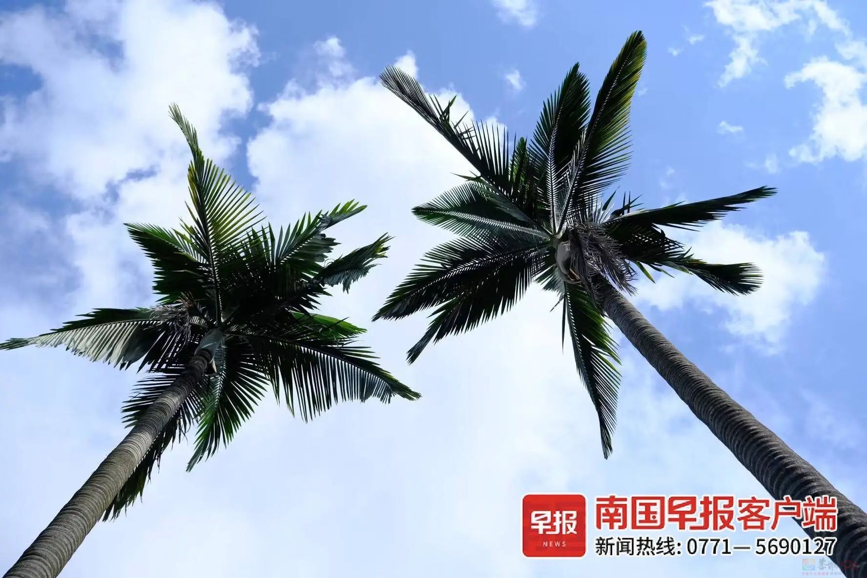 热?热?热? !广西未来两个月高温日数偏多!注意防暑降温→239 / 作者:尹以为荣 / 帖子ID:316010 热?热?热? !广西未来两个月高温日数偏多!注意防暑降温→239 / 作者:尹以为荣 / 帖子ID:316010