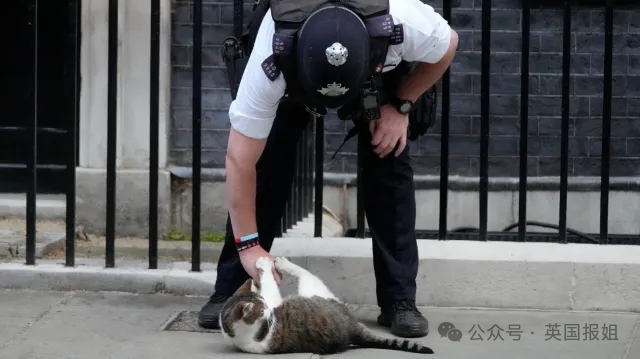 英国首相又跑了？！8年连换6个，最短44天？民众不在意：换谁都一样……469 / 作者:放眼看世界 / 帖子ID:316035