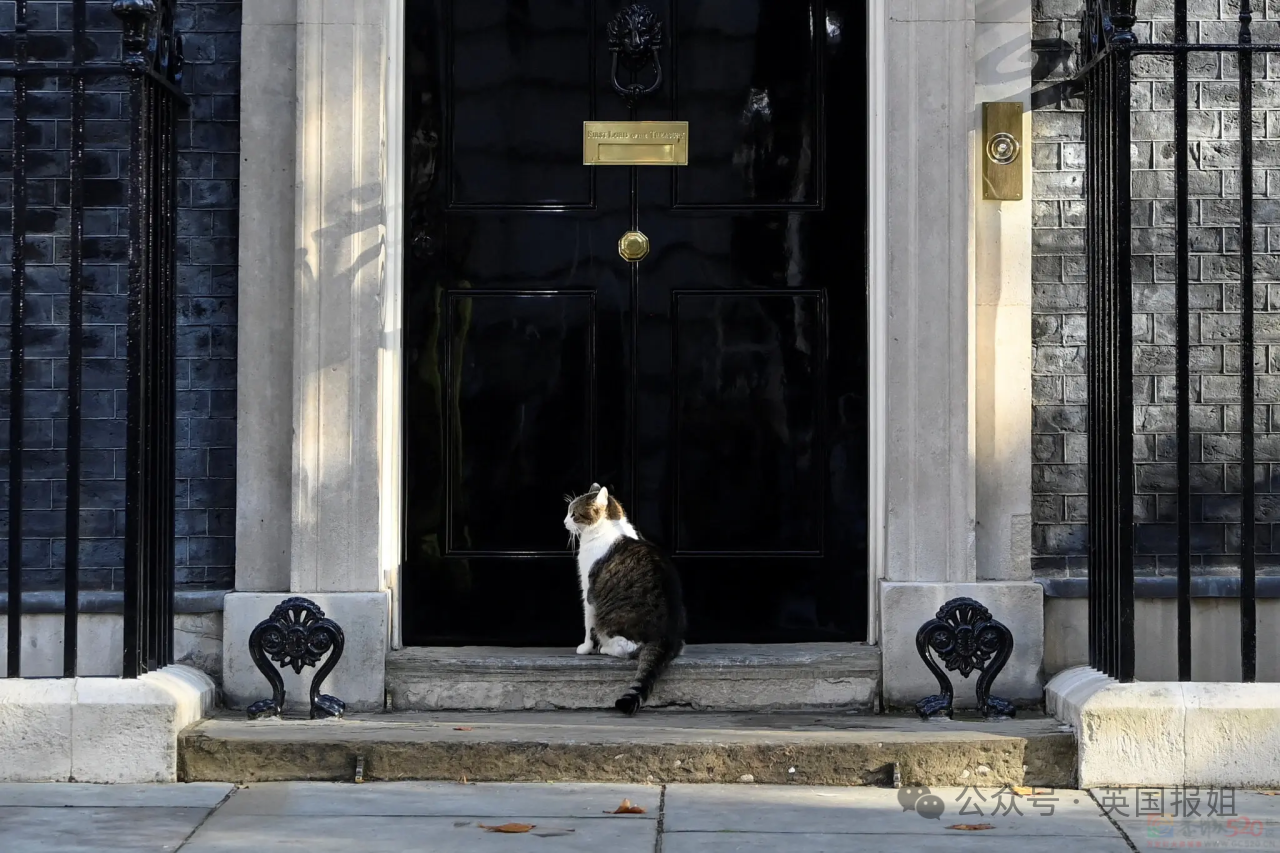英国首相又跑了？！8年连换6个，最短44天？民众不在意：换谁都一样……355 / 作者:放眼看世界 / 帖子ID:316035