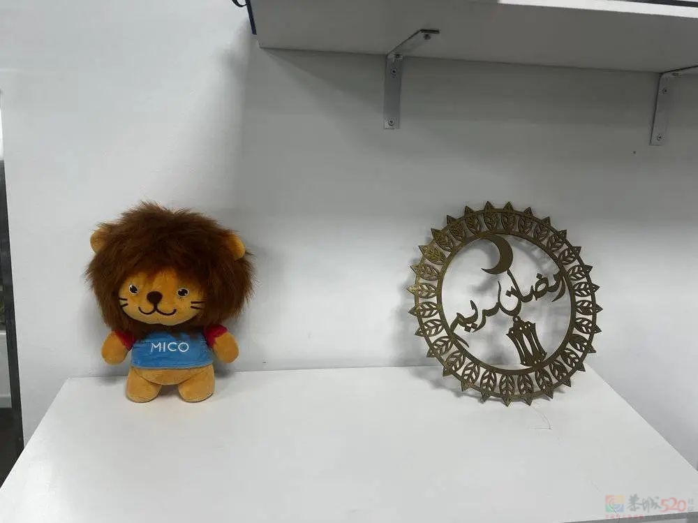寂寞的中东土豪，成了中国公司的金矿65 / 作者:儿时的回忆 / 帖子ID:316040