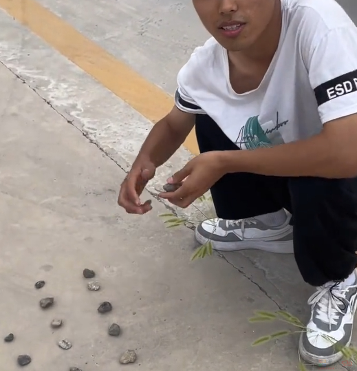大学生把驾校整顿成托儿所，骂人最狠的教练也被气笑了870 / 作者:儿时的回忆 / 帖子ID:316162