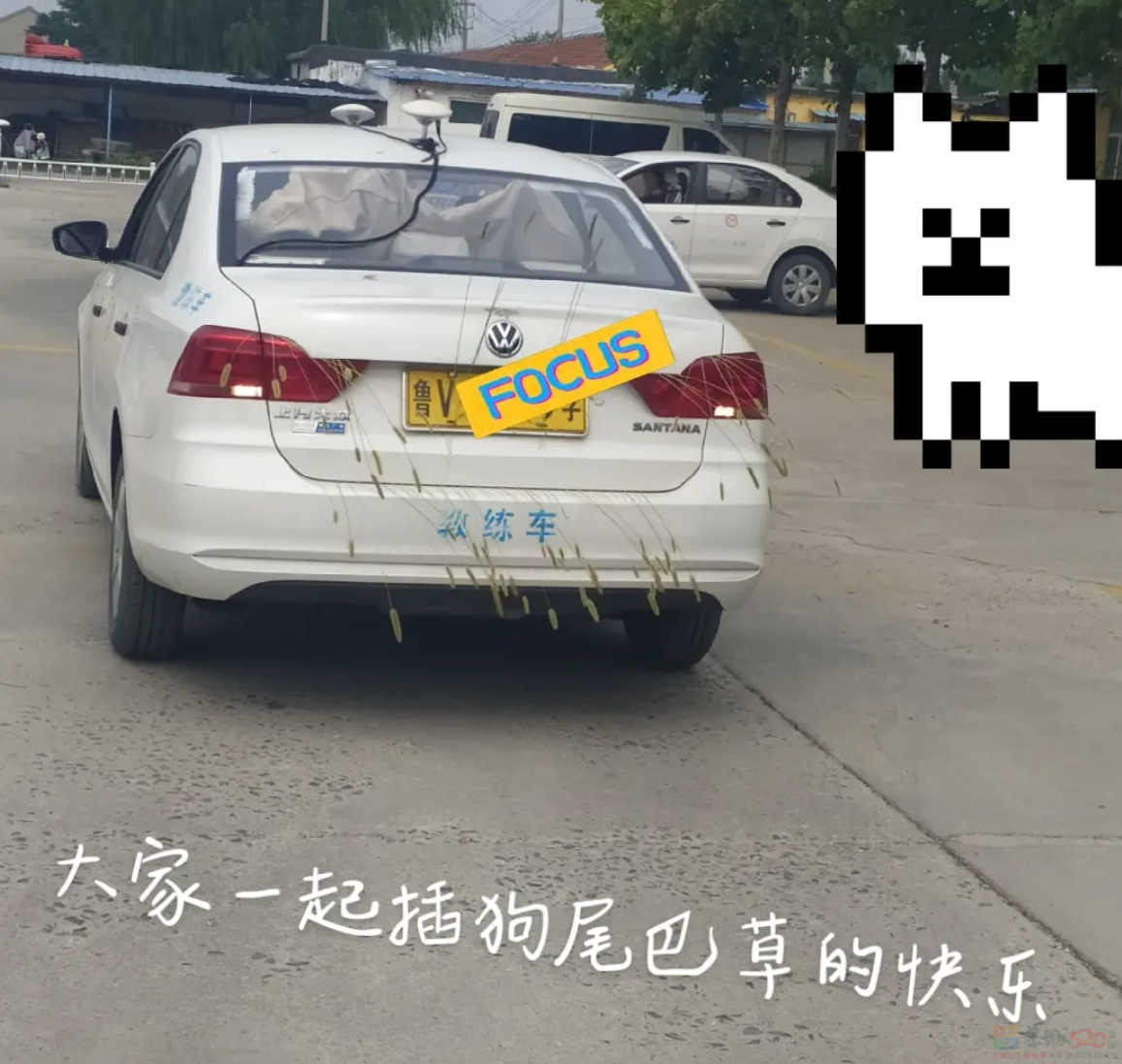 大学生把驾校整顿成托儿所，骂人最狠的教练也被气笑了798 / 作者:儿时的回忆 / 帖子ID:316162