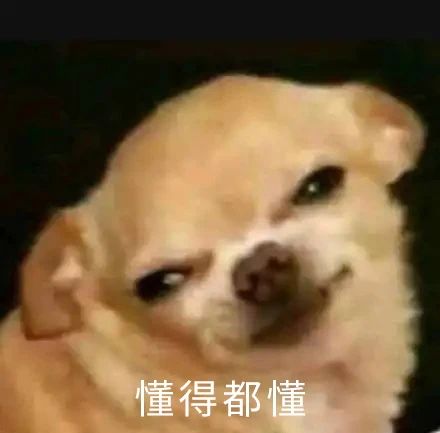 《女生坐腿上对男朋友的杀伤力评估报告》228 / 作者:儿时的回忆 / 帖子ID:316182