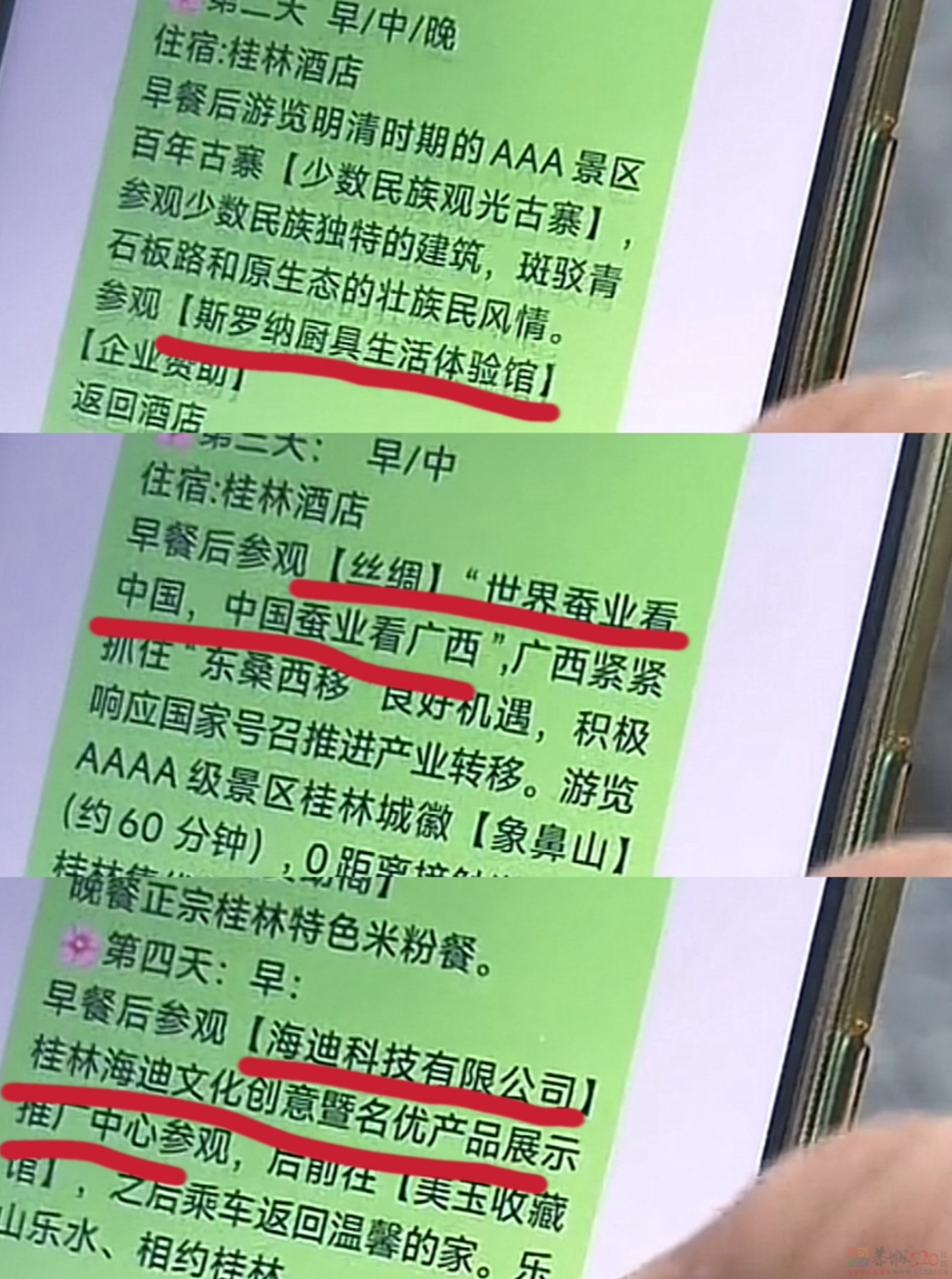 “40元旅游团”专坑父母钱包，年轻人怒扒它是“旅游界的慎刑司”735 / 作者:儿时的回忆 / 帖子ID:316215