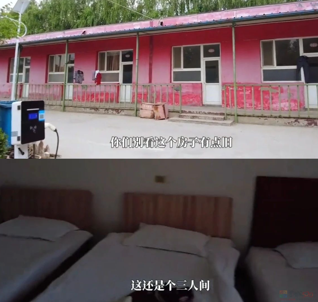 “40元旅游团”专坑父母钱包，年轻人怒扒它是“旅游界的慎刑司”289 / 作者:儿时的回忆 / 帖子ID:316215