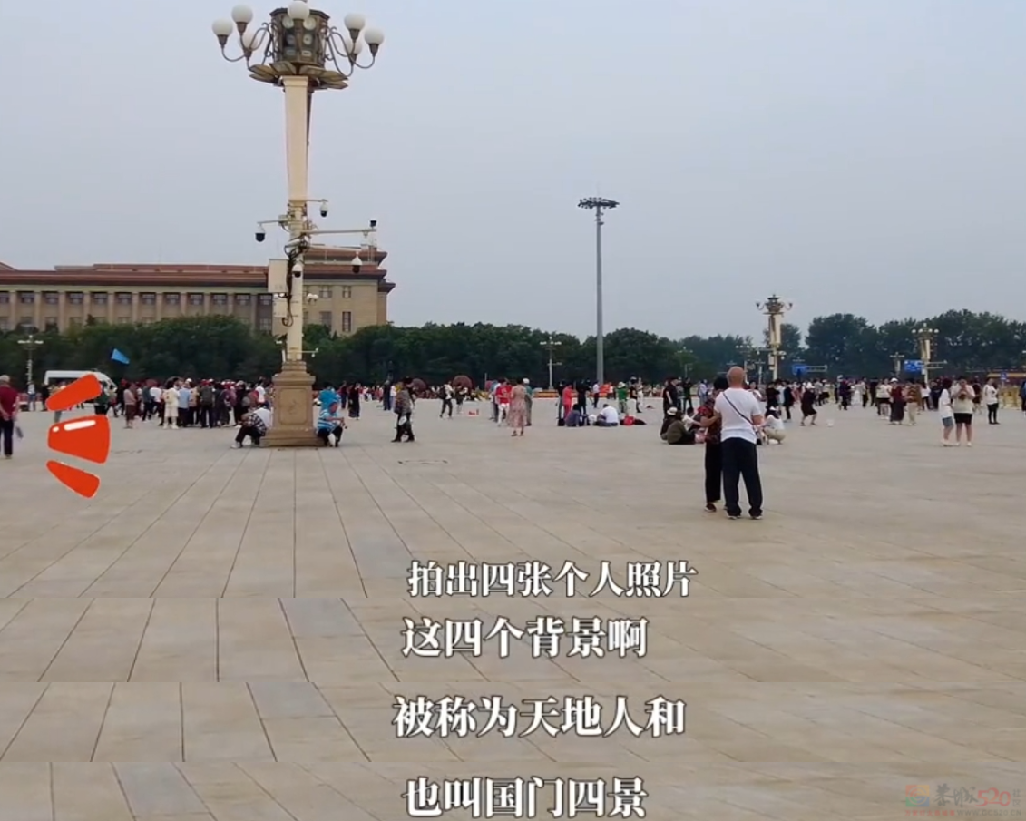 “40元旅游团”专坑父母钱包，年轻人怒扒它是“旅游界的慎刑司”436 / 作者:儿时的回忆 / 帖子ID:316215