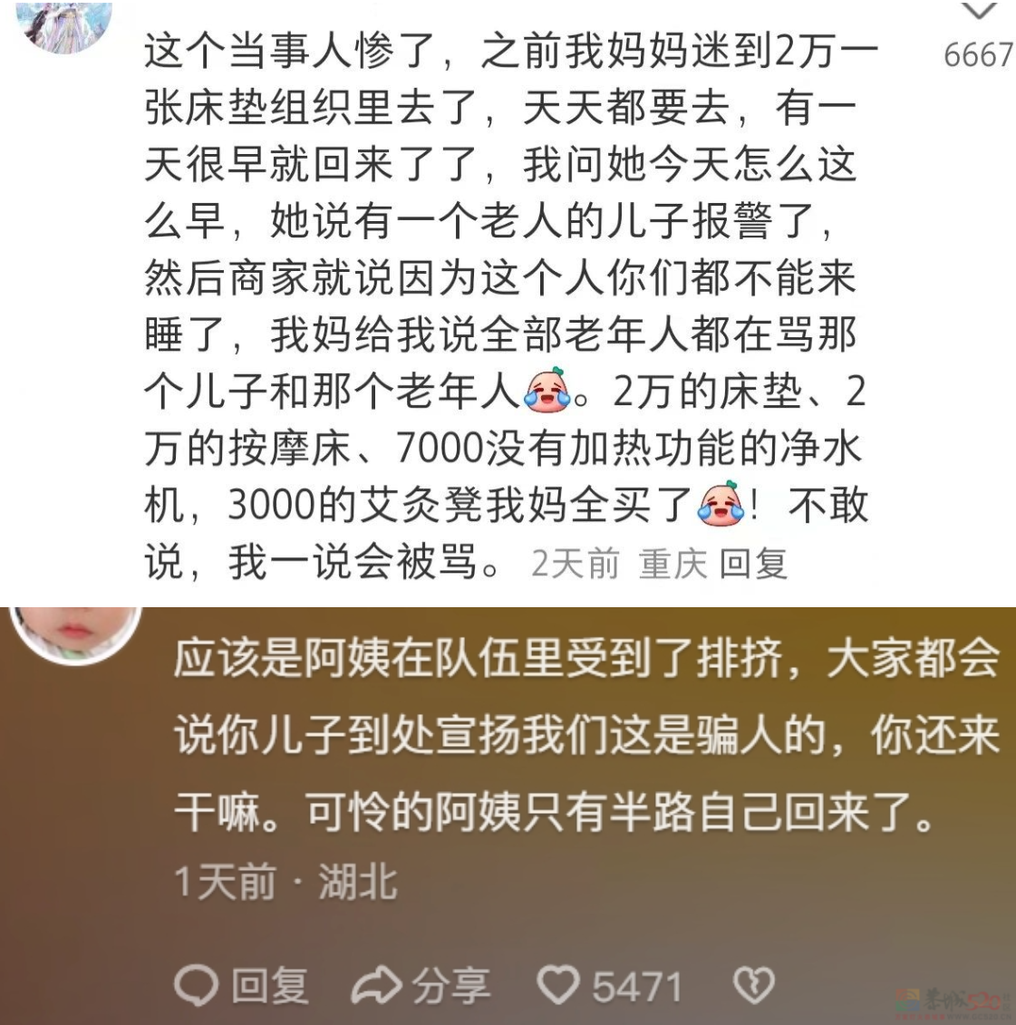 “40元旅游团”专坑父母钱包，年轻人怒扒它是“旅游界的慎刑司”660 / 作者:儿时的回忆 / 帖子ID:316215
