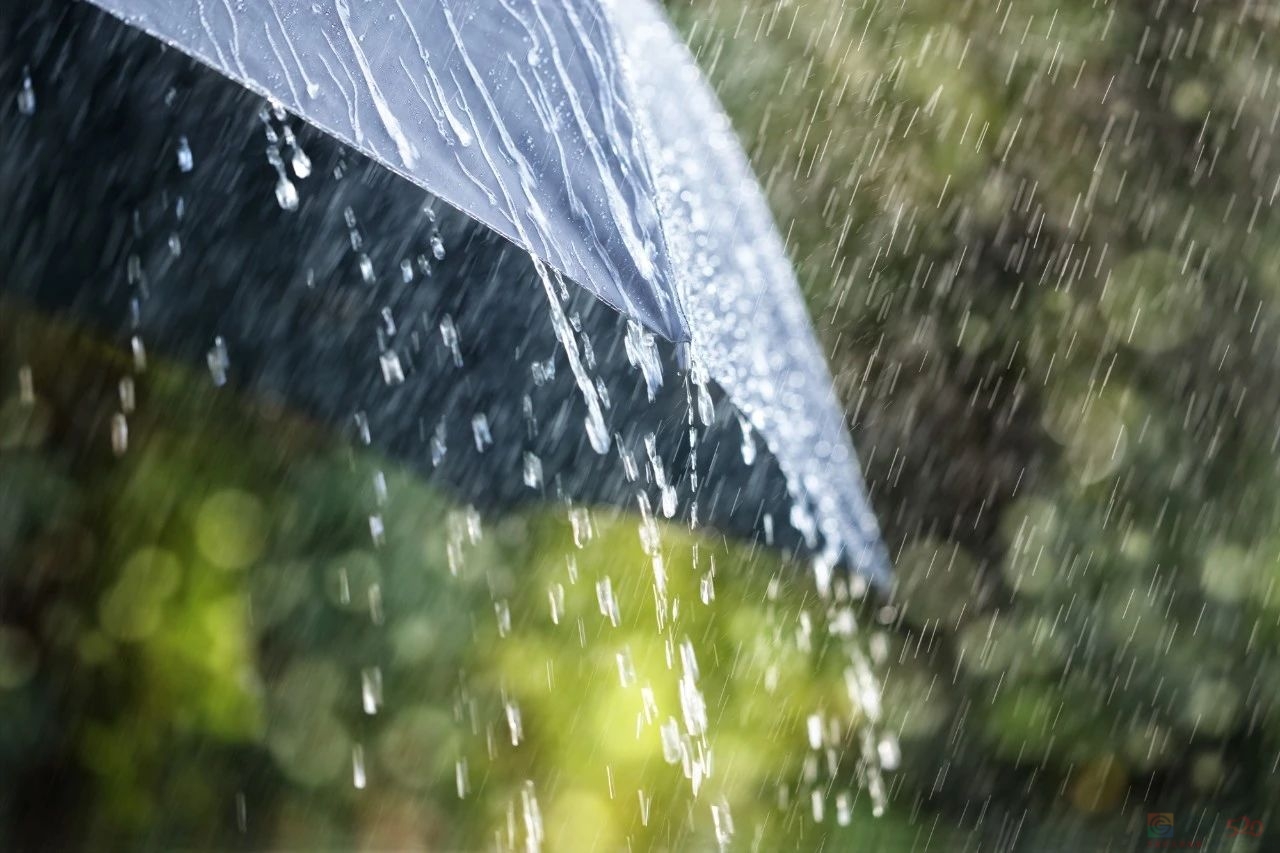 淋雨后，中医建议做3件事“散寒”707 / 作者:健康小天使 / 帖子ID:316351