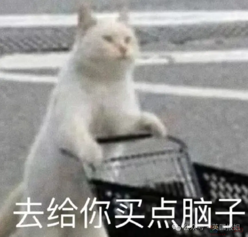 韩国队又双叒破防！开幕式被叫朝鲜后又被挂南非国旗，首金冠军名字也写错，网友：专搞我们啊？！165 / 作者:放眼看世界 / 帖子ID:316366