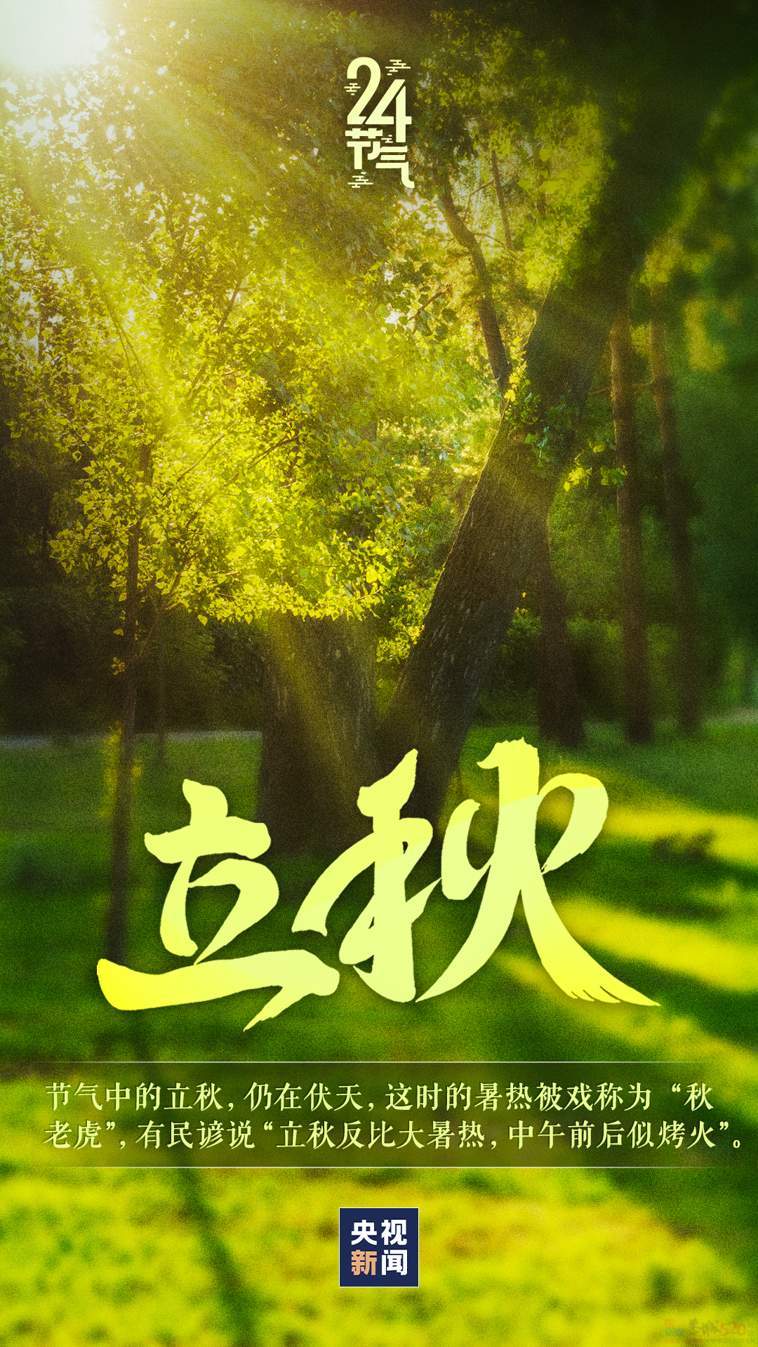 今日，立秋320 / 作者:登山涉水 / 帖子ID:316478