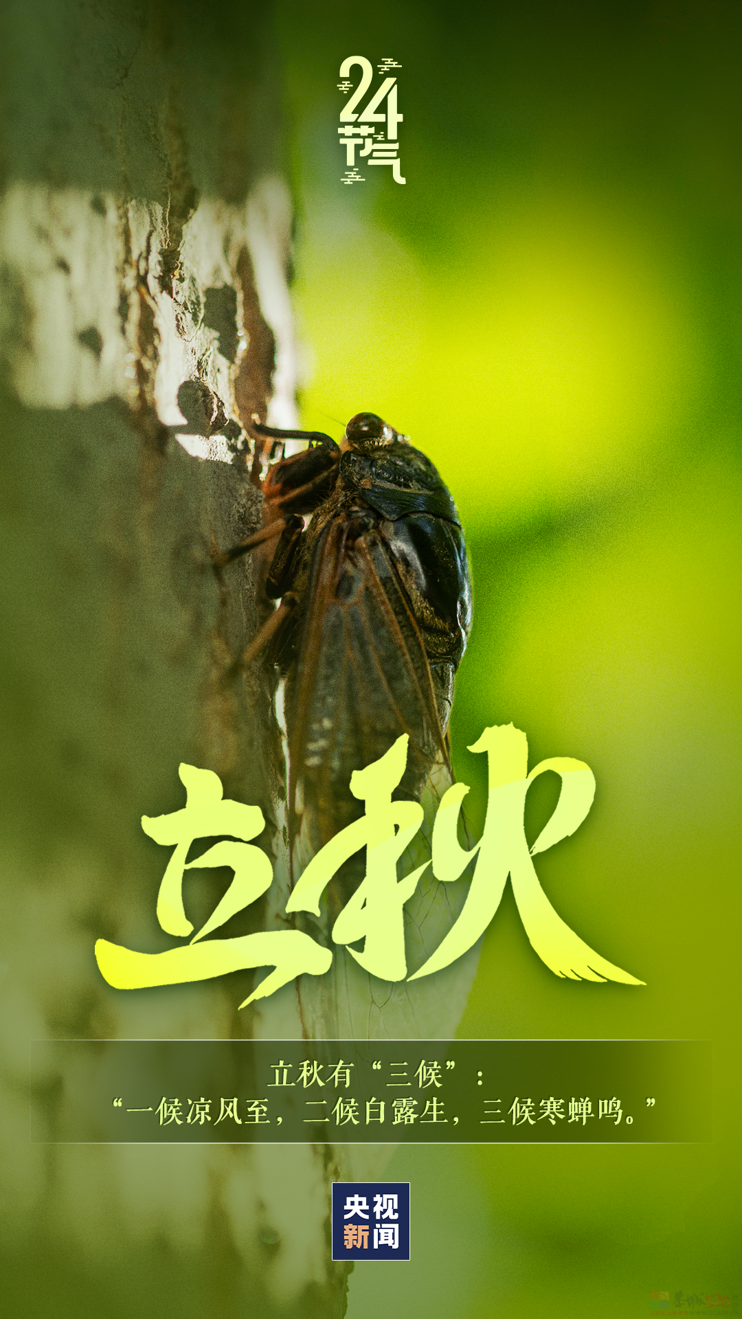 今日，立秋718 / 作者:登山涉水 / 帖子ID:316478