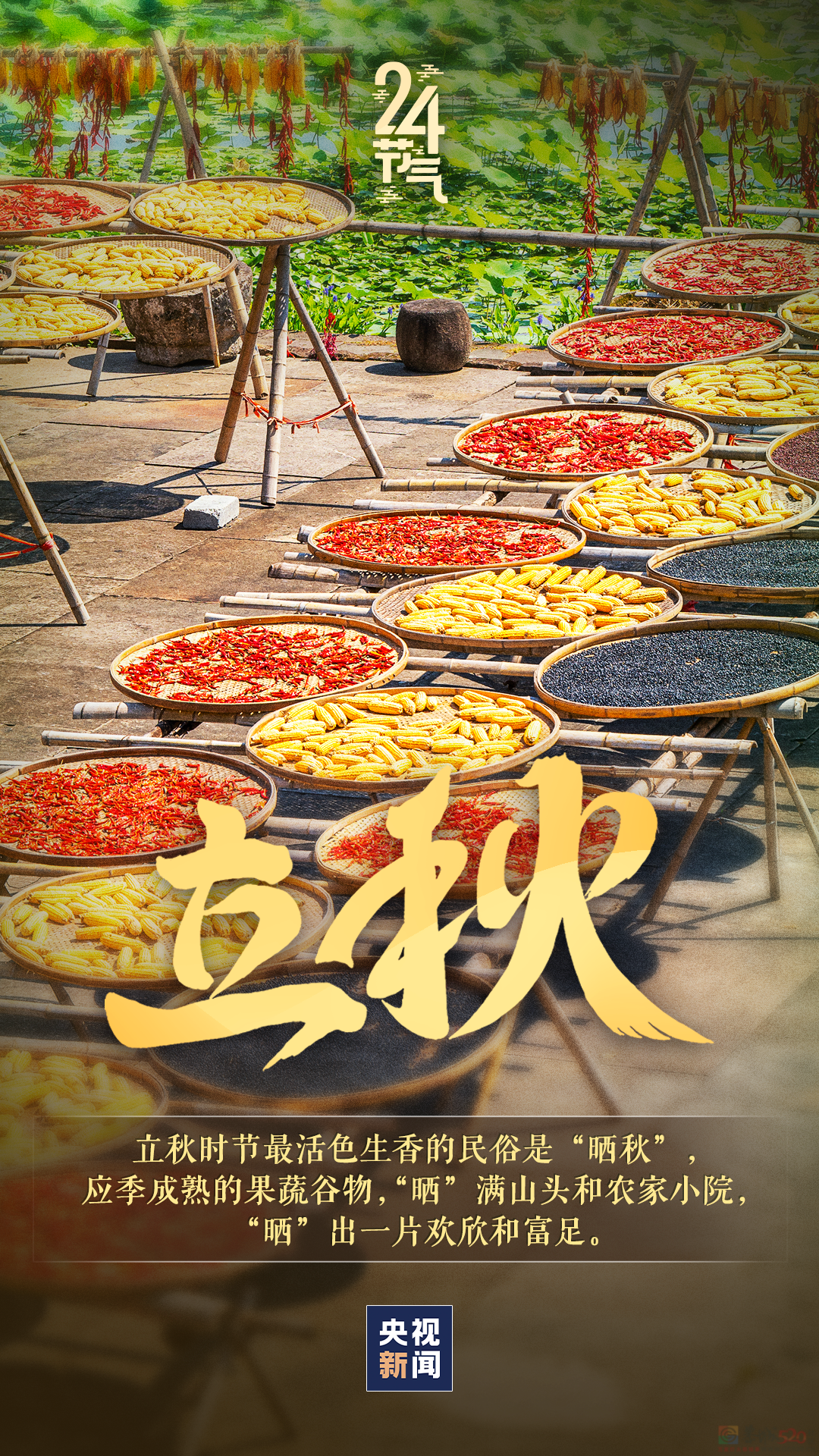今日，立秋889 / 作者:登山涉水 / 帖子ID:316478