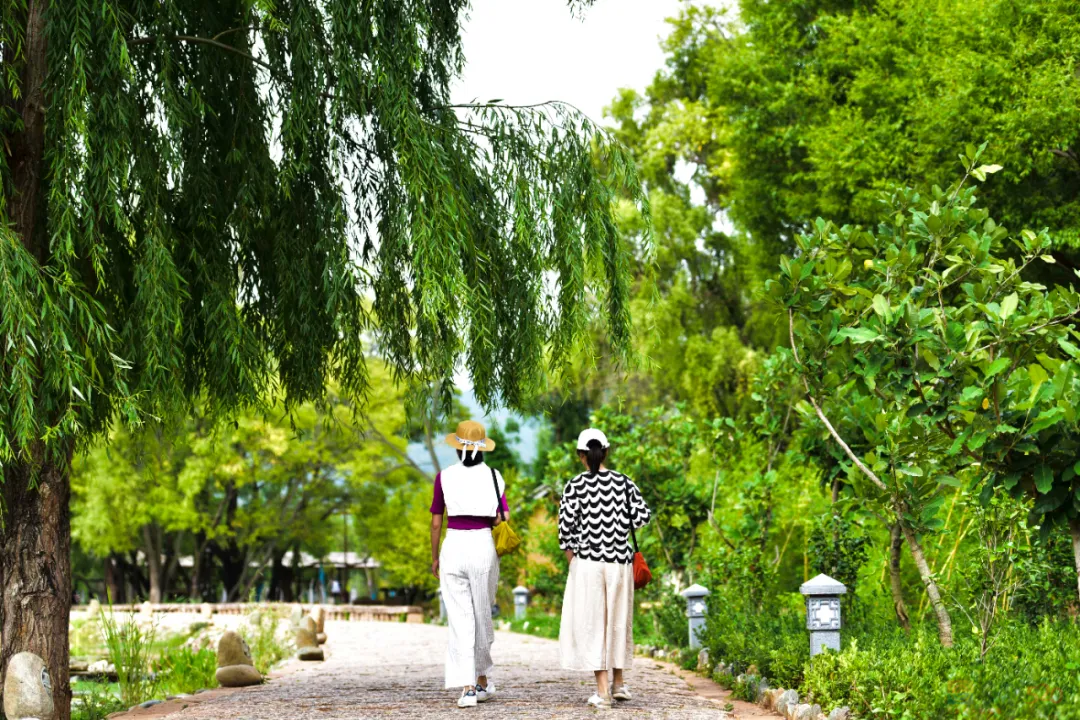 压力太大的人，身体内癌细胞会“疯跑”！不可不知的四大减压秘笈186 / 作者:健康小天使 / 帖子ID:316537