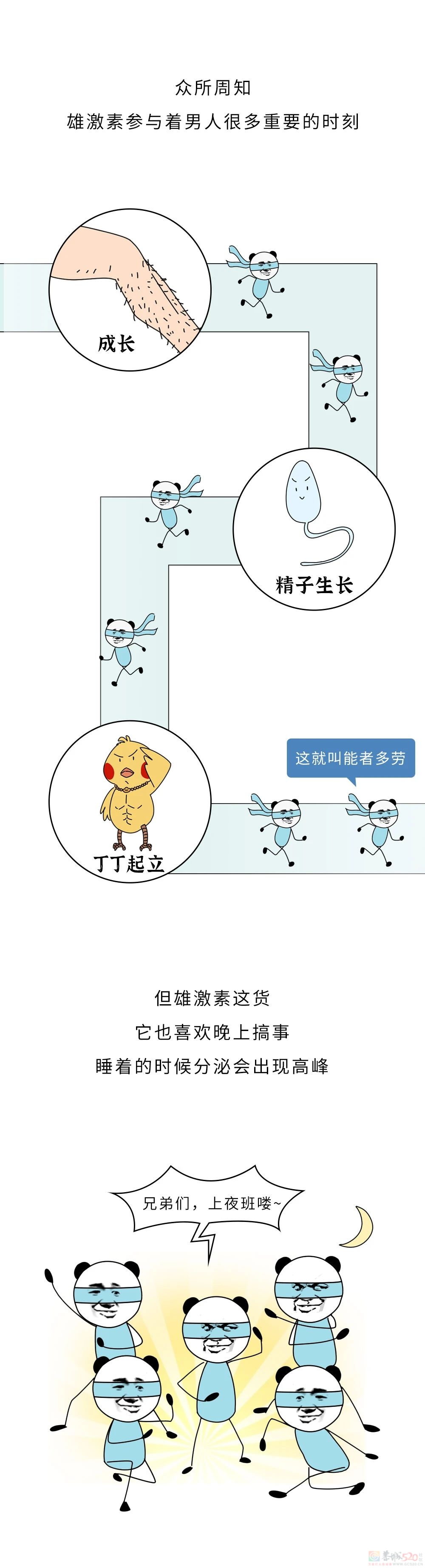 千万不要找熬夜的男生当男朋友！216 / 作者:儿时的回忆 / 帖子ID:316556