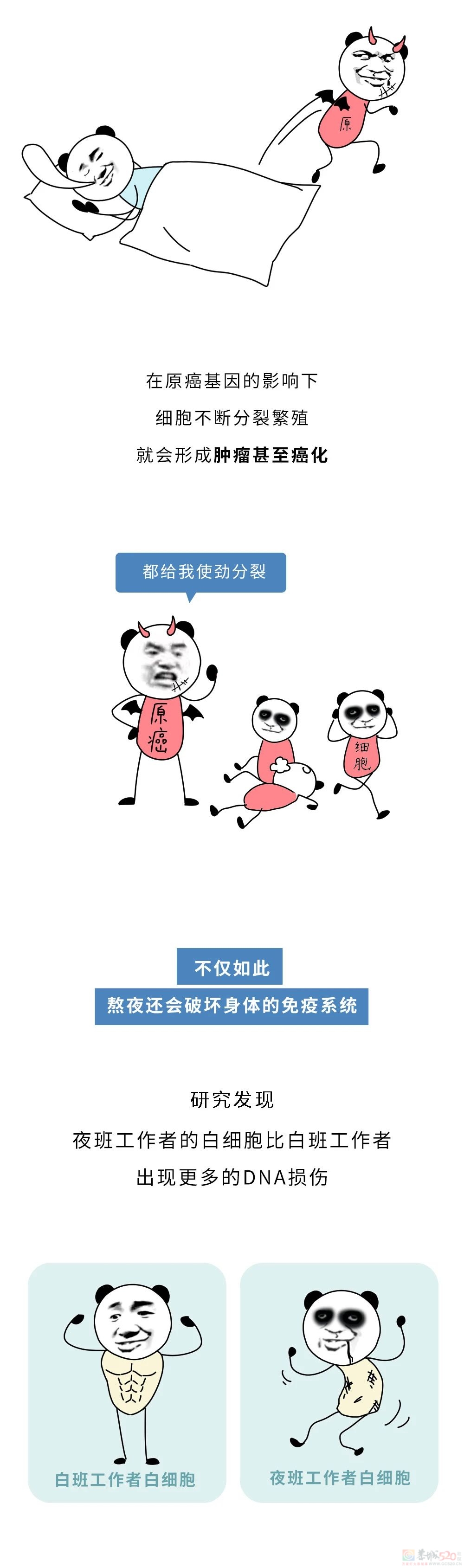 千万不要找熬夜的男生当男朋友！582 / 作者:儿时的回忆 / 帖子ID:316556