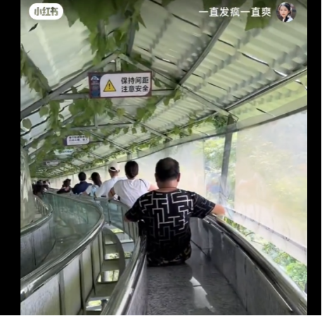 网红“飞天魔毯”致1死60伤，有这安全隐患的景区还没被扒完453 / 作者:儿时的回忆 / 帖子ID:316582